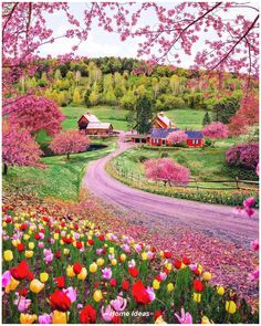 a country road surrounded by colorful flowers and trees