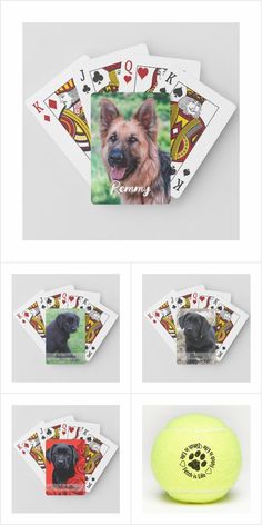 four cards with different pictures on them and the same dog's name in each card