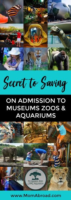 an advertisement for the museum and aquariums with images of animals, plants, and other things