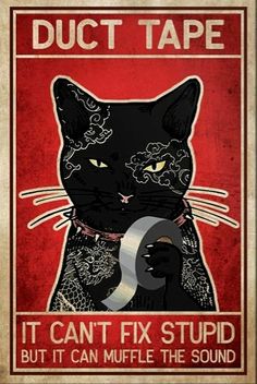 a poster with a black cat on it's face and the words duct tape