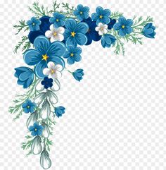 blue and white flowers on a transparent background png image with no background, transparent