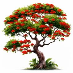 a large tree with red flowers on it's branches and green foliage around it