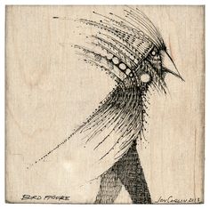 a drawing of a bird with feathers on it's head