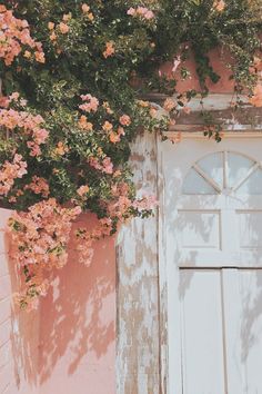 an old door with pink flowers growing over it