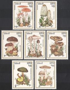 four stamps with different types of mushrooms and plants on them, all printed in white