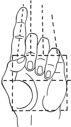 a hand is shown with lines on it and the middle finger has two fingers that are pointing