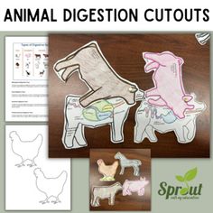 an image of animal digest cutouts on a wooden table with text overlay that reads animal digest cut outs