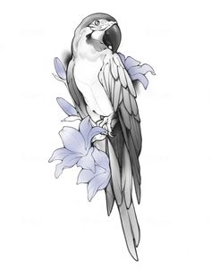 a black and white bird sitting on top of a flower