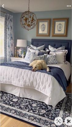 a dog laying on top of a bed in a room with blue and white decor