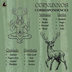 an image of some animals that are in the forest with words describing their corresponding body parts