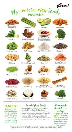 High Protein Foods, 500 Calorie, Plant Based Diet Recipes, Protein Nutrition, Vegetarian Protein, Protein Rich Foods