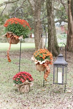 three hanging planters filled with flowers in front of a tree and lantern light on the ground