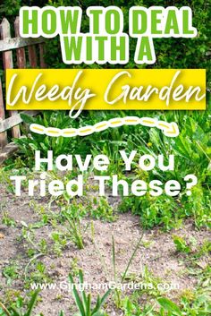 a garden with the words how to deal with weedy gardens have you tried these?