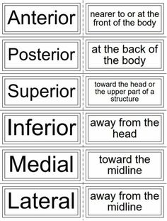 four different types of signs with the words in black and white, including one that says