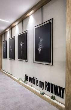 a long hallway with pictures hanging on the wall and an inscription that reads, the world is my runway