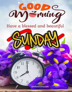 an alarm clock and purple flowers with the words good morning have a blessed and beautiful sunday