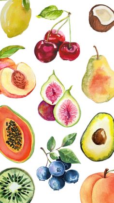 watercolor painting of various fruits and vegetables