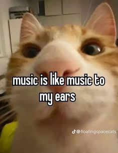 music Music To My Ears, Music Is, Me When, Music