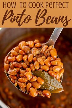 a spoon full of pinto beans with text overlay that reads how to cook perfect pinto beans