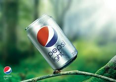 a can of pepsi is perched on a tree branch