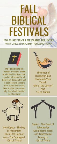 an info sheet with different things to see in the bible and what they mean them