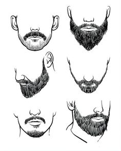 the different types of beards for men