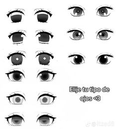 various types of eyes with different shapes and sizes