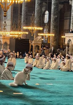 a group of people sitting on the ground with a dog in front of them,