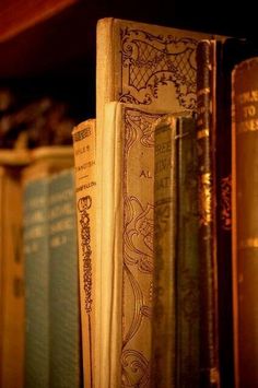 several books are lined up on a shelf