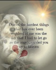 a dog with the words one of the hardest things that has ever been required to me was the day that i had to let go as the angels carried you up to heaven