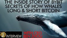 the inside story of egypt's secrets of how whales are long and short bitcoin