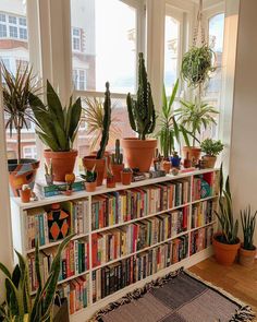 many potted plants are on top of a bookshelf in front of large windows