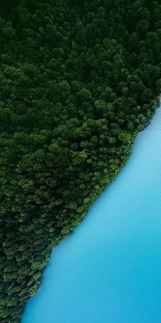 an aerial view of a river surrounded by trees and blue water in the foreground