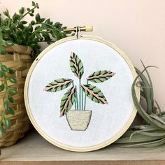 a potted plant sitting on top of a wooden shelf