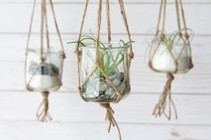 three hanging glass jars filled with rocks and airplants are hung from twine ropes