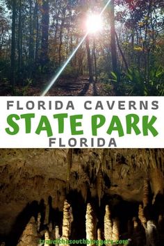 florida caverns state park with text overlaying it