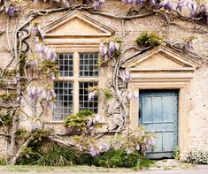 an old building with wistery vines growing on it