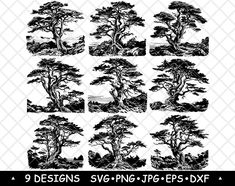 nine different types of trees in black and white