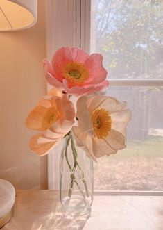 three flowers in a glass vase on a table near a window with the sun shining through