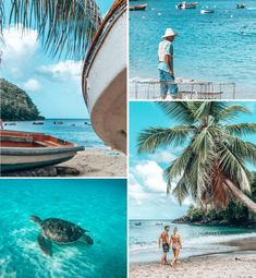 four different pictures with people standing on the beach and in the water, one is a turtle