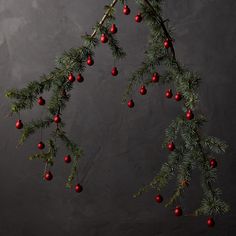 a branch with red berries hanging from it on a gray wall behind a black background