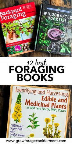 three books with text that reads 12 best foraging books identifying and harvesting edible plants in wild and not so wild places