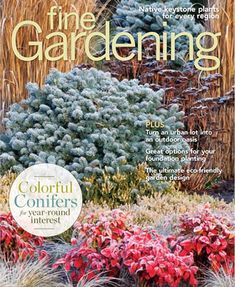 the front cover of gardening magazine with colorful flowers and plants in bloom, including blue - green