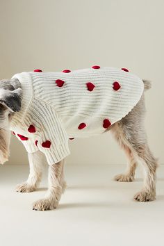 a small dog wearing a sweater with red hearts on it's chest and tail