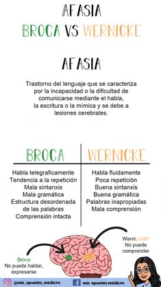 an info sheet describing the different types of people's brain and what they are doing