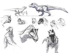 some sketches of dinosaurs and other animals