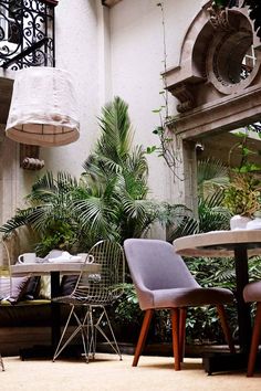 an outdoor dining area with chairs, tables and potted plants on the wall behind them