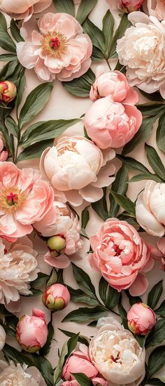 pink and white flowers are arranged on a wall