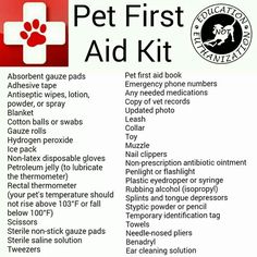 First Aid Kit Pet First Aid Kit, First Aid For Dogs, Dog Sitting Business, Dog Breeding Business, Pet First Aid, Disaster Plan, Cat Language, Pet Corner