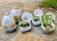 several plastic bottles with plants in them sitting on the ground next to some concrete blocks